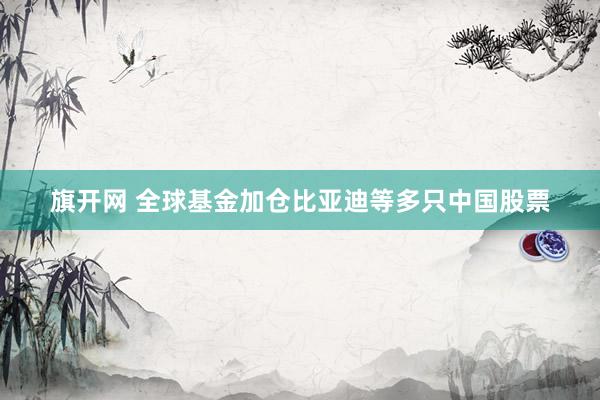旗开网 全球基金加仓比亚迪等多只中国股票