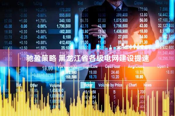 驰盈策略 黑龙江省各级电网建设提速
