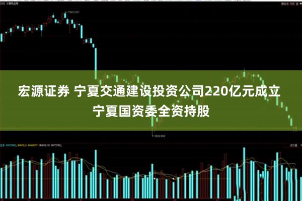 宏源证券 宁夏交通建设投资公司220亿元成立 宁夏国资委全资持股
