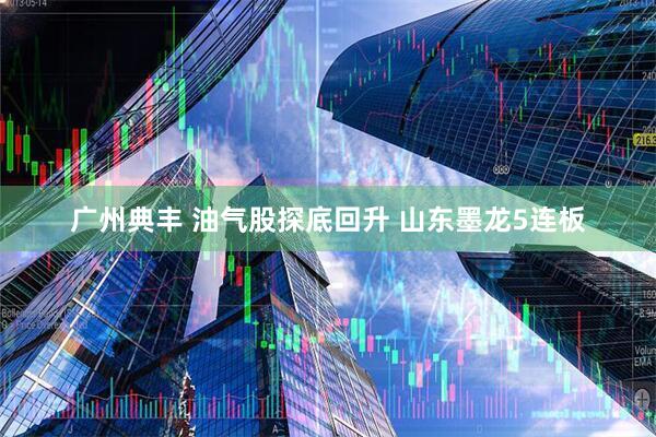 广州典丰 油气股探底回升 山东墨龙5连板