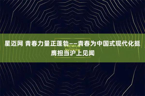 星迈网 青春力量正蓬勃——青春为中国式现代化挺膺担当沪上见闻