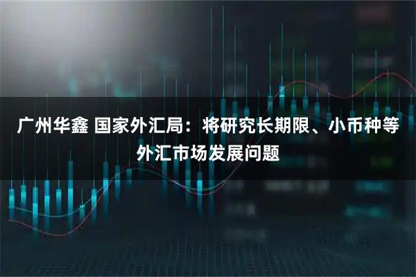 广州华鑫 国家外汇局:将研究长期限、小币种等外汇市场发展问题