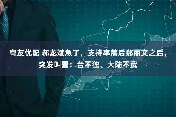 粤友优配 郝龙斌急了，支持率落后郑丽文之后，突发叫嚣：台不独、大陆不武